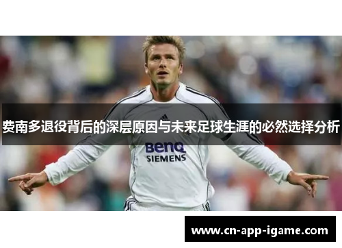 费南多退役背后的深层原因与未来足球生涯的必然选择分析