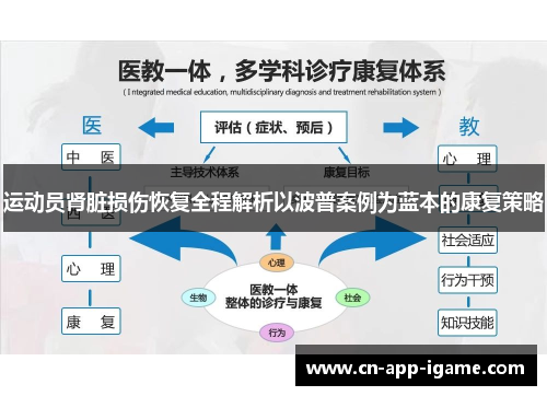 运动员肾脏损伤恢复全程解析以波普案例为蓝本的康复策略 运动员肾脏损伤恢复全程解析以波普案例为蓝本的康复策略
