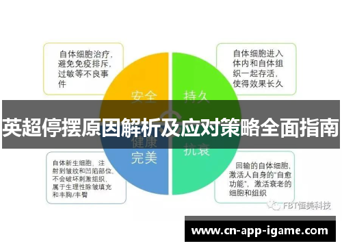 英超停摆原因解析及应对策略全面指南