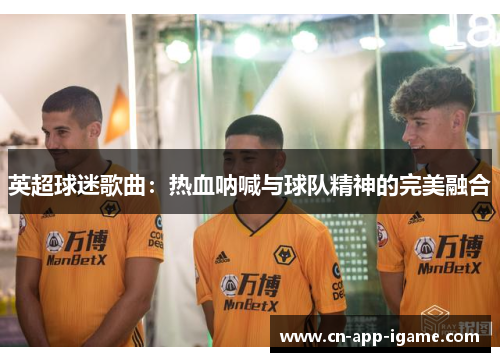 英超球迷歌曲：热血呐喊与球队精神的完美融合