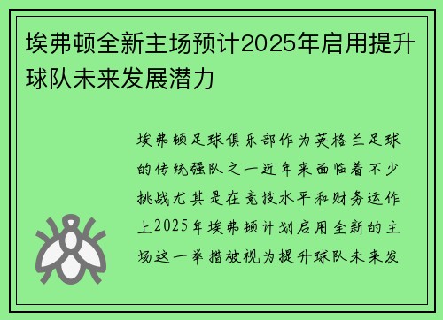 埃弗顿全新主场预计2025年启用提升球队未来发展潜力